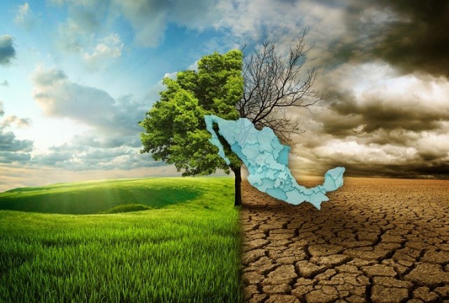 Tercera jornada de debate sobre la Ley de Cambio Climático de Baleares