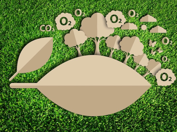 Naciones Unidas declara a Metro de Sevilla agente neutro en la huella de carbono por sus medidas ambientales