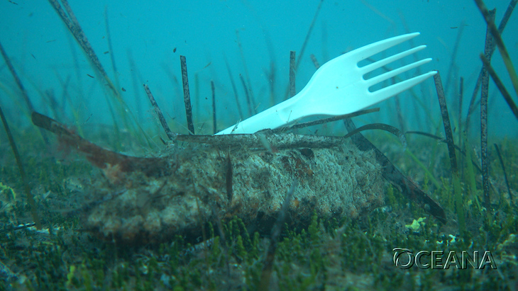 Oceana se ‘moviliza’ para exigir un Ley de Residuos para atajar la crisis del plástico en el mar más contundente