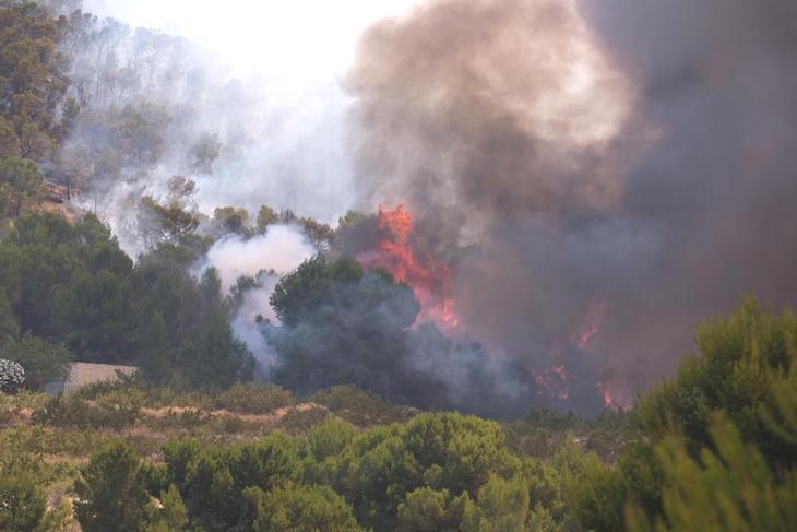 Tras la pista del supuesto autor de un incendio forestal en la Sierra Norte de Sevilla