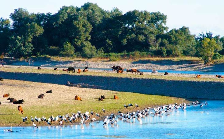 Reserva Natural de los Sotos de Alfaro
