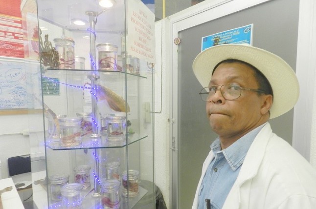 En busca de una raza de ovinos libre de parásitos