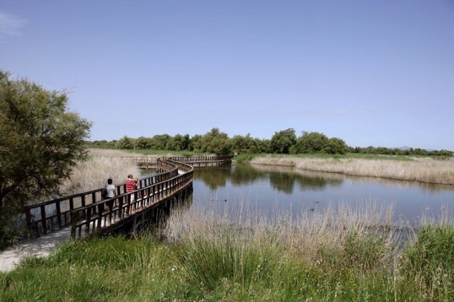 Las Tablas de Daimiel un referente nacional