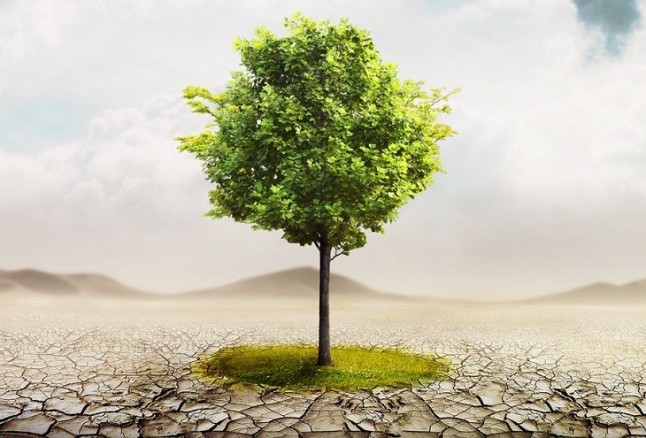 El Gobierno anuncia que aprobará la Ley de Cambio Climático este mes