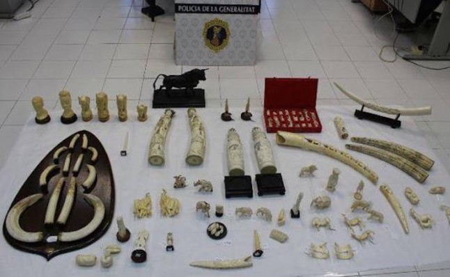 Intervienen en Valencia piezas de marfil talladas