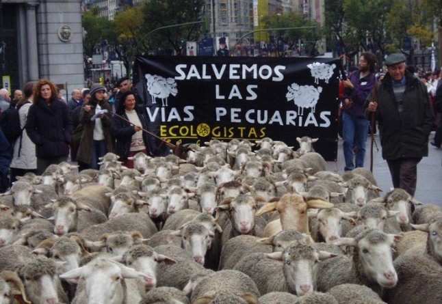 La absoluta degradación de la Red de Vías Pecuarias