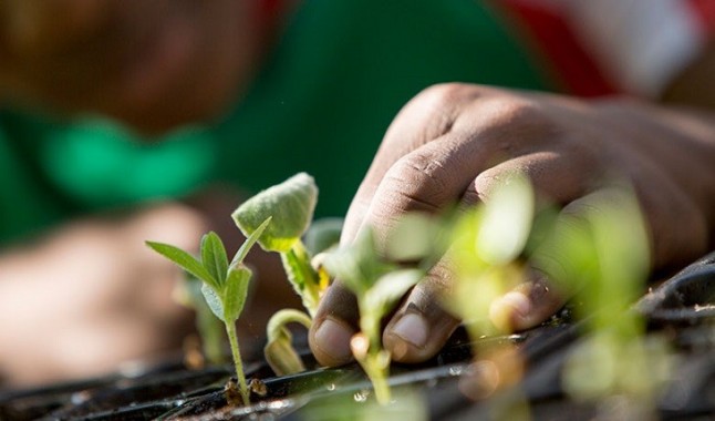 El Cabildo de Tenerife elabora un decálogo de buenas prácticas medioambientales para rodajes