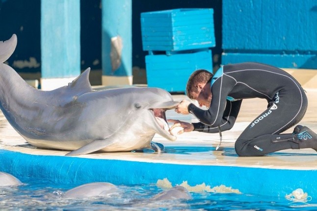 ZOO AQUARIUM de Madrid en el punto de mira