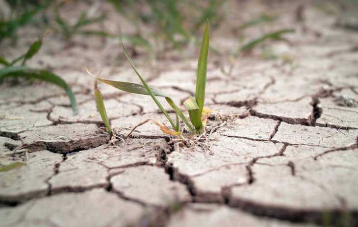 El premio ‘Espiga Verde de la Seminci’ ya tiene ganador