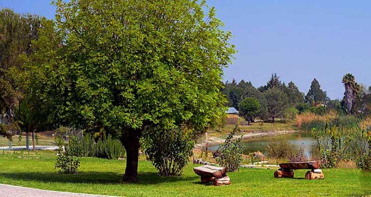 Impulsa México la creación de una red de jardines bioculturales como espacios de conocimiento colectivo