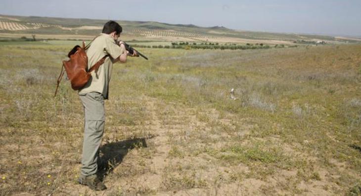 Castilla-La Mancha ‘anima’ a liquidar a tiros a conejos durante el estado de alarma