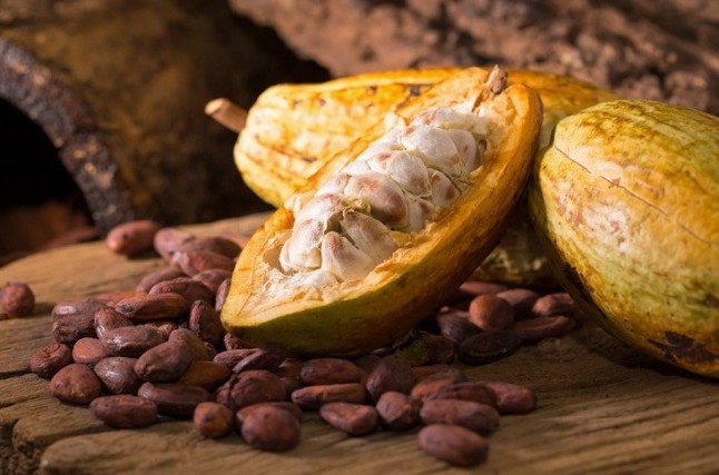 Costa de Marfil construirá una planta de biomasa que se alimentará a partir de residuos de cacao