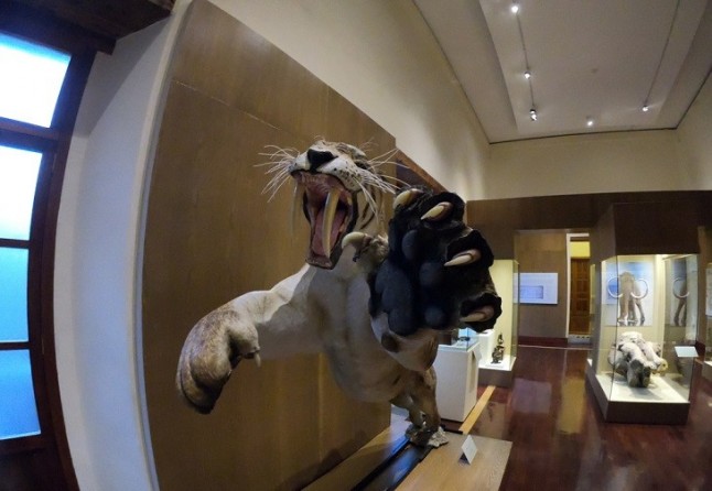 Celebra 150 años la Sociedad Mexicana de Historia Natural