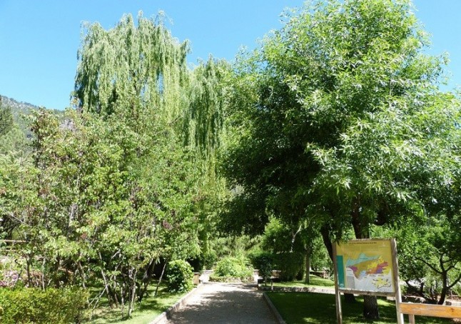 El espectáculo de la floración en el Jardín Botánico de la Torre del Vinagre (Jaén)