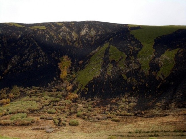 Los efectos de los incendios