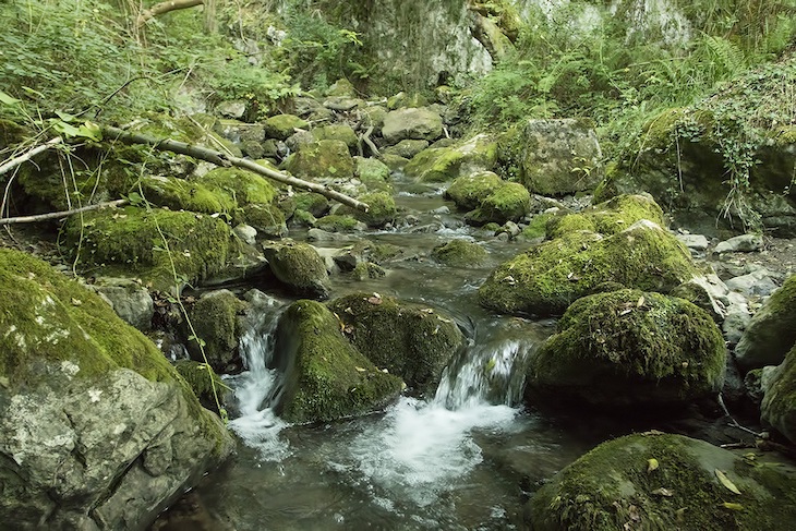 Asturias. No a la mini central del Rio Mosa en Proaza