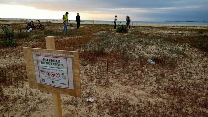 Trabajando para proteger al Chorlitejo Patinegro