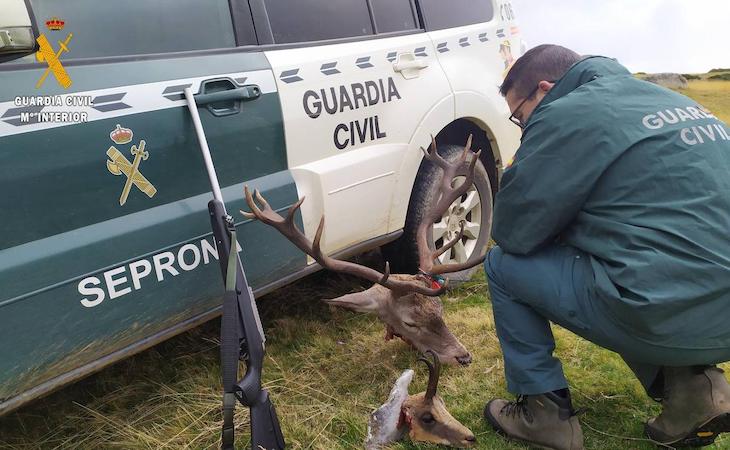 Persiguen la caza furtiva de especies protegidas en las Hoces del Cabriel
