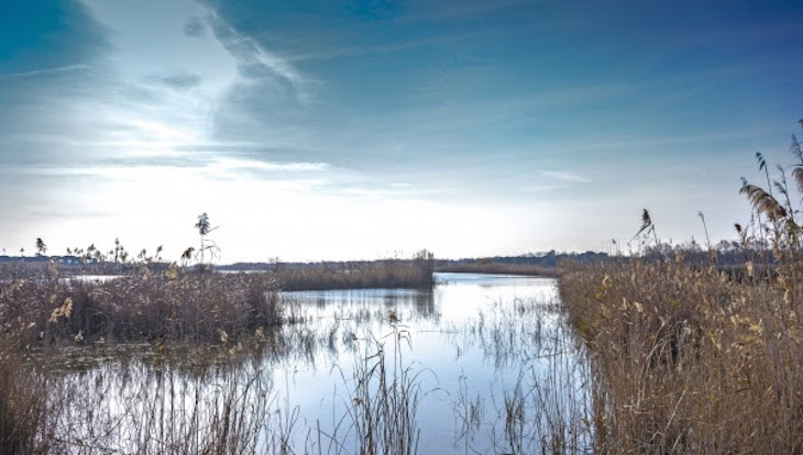 Ciudadanos exige protección al Delta del Llobregat