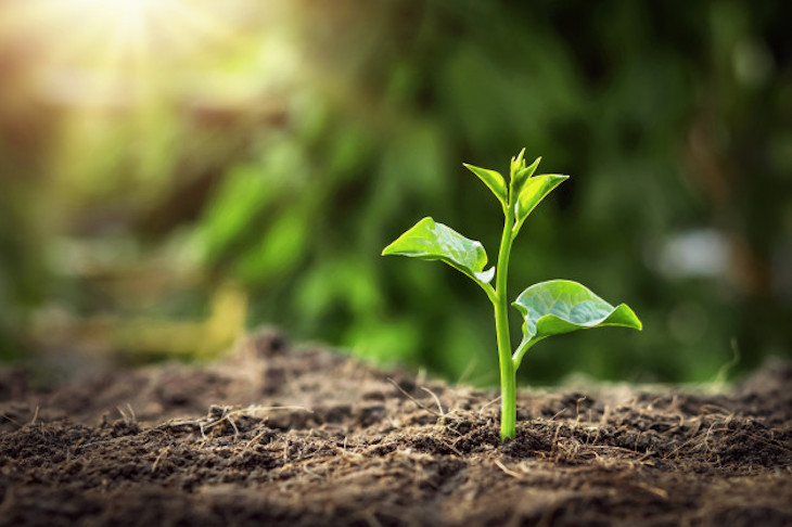 Valoran negativamente los premios Andalucía Medio Ambiente 2020