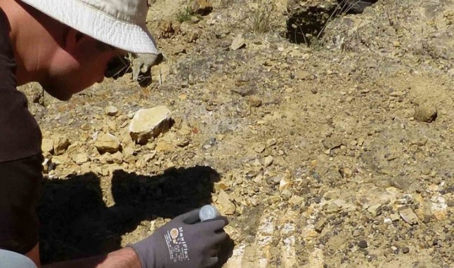 Te imaginas en los montes de Lugo manadas de leones y rinocerontes pastando
