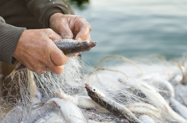 Escándalo. España y Francia usaron fondos europeos para la pesca no autorizados