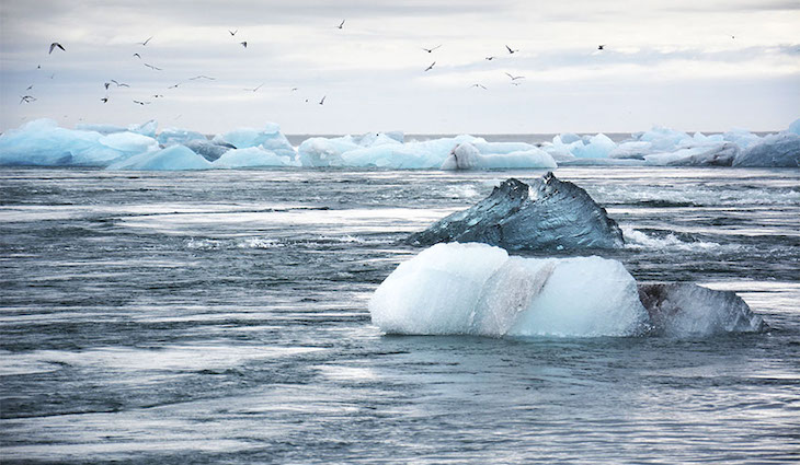 Qué derivadas provocara la Antártida dentro de mil años