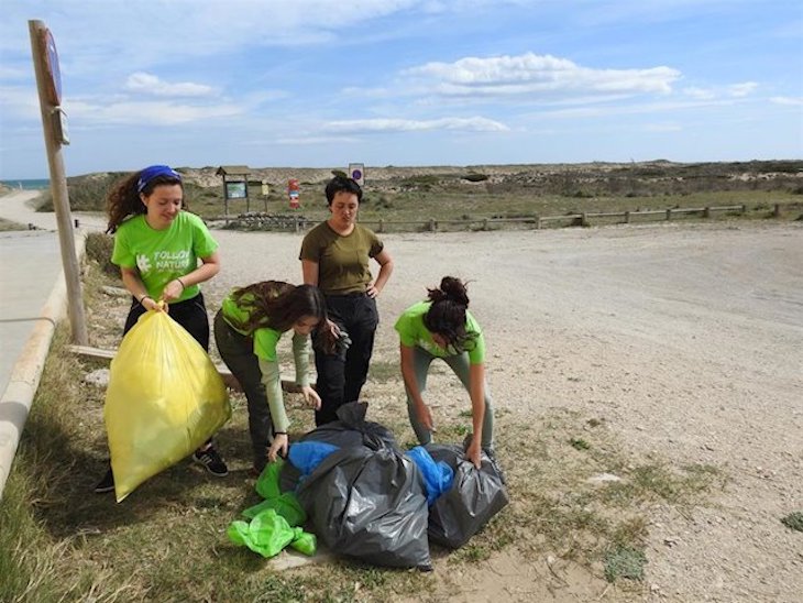 Seo Birdlife impulsa en LAlbufera un proyecto para renaturalizar las playas del litoral