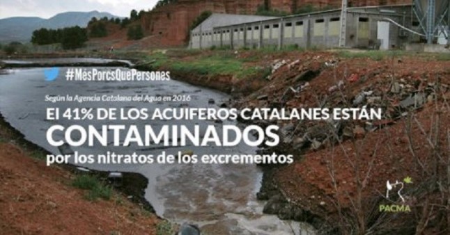 Proponen a Catalunya un plan de choque contra la contaminación por purines
