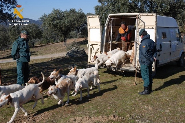 El Seprona reactiva en la provincia de Córdoba la Operación Sierra para luchar contra el furtivismo