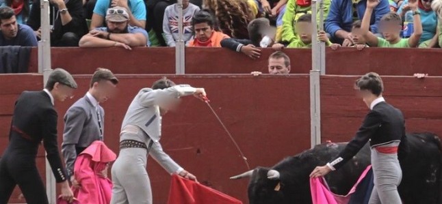 La ONU afirma que la tauromaquia vulnera los derechos de niños