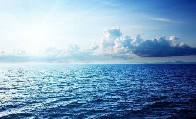 Identifican nuevos causantes de la desoxigenación oceánica