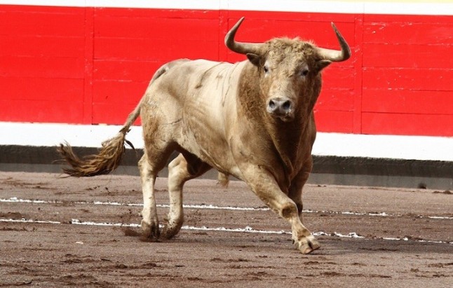 Prohibir los toros en Andalucía tendrá que esperar