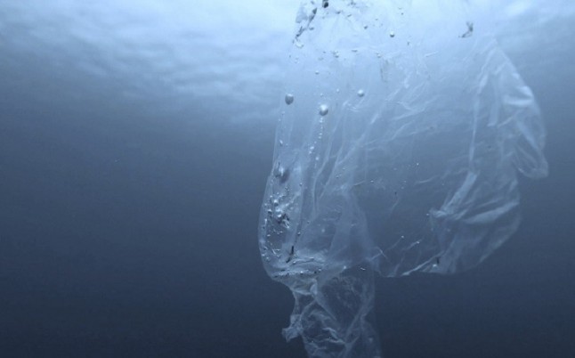 American Express lanzará una tarjeta fabricada con plástico recuperado del mar