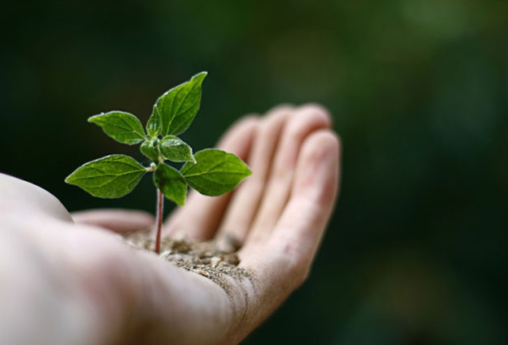 Sin biodiversidad no hay vida