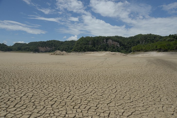 XII reunión del Diálogo de Petersberg sobre cambio climático