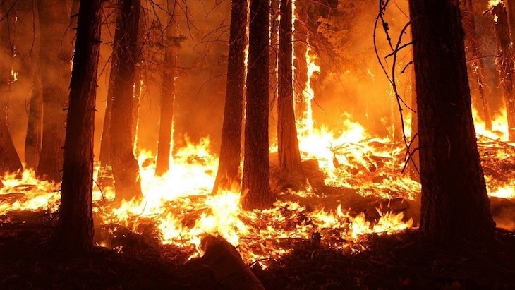 Extremadura se pone a punto para afrontar los incendios forestales