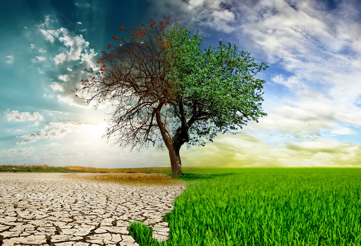 Socavando los acuerdos europeos climáticos y ambientales