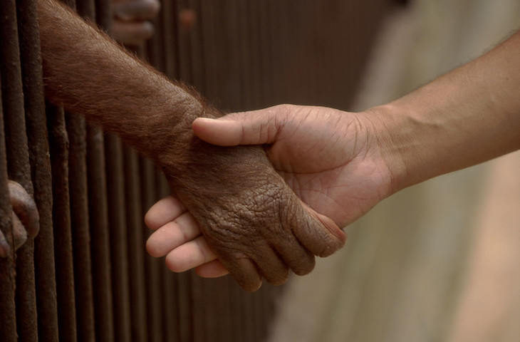 El gravísimo deterioro de la biodiversidad nos pasará factura