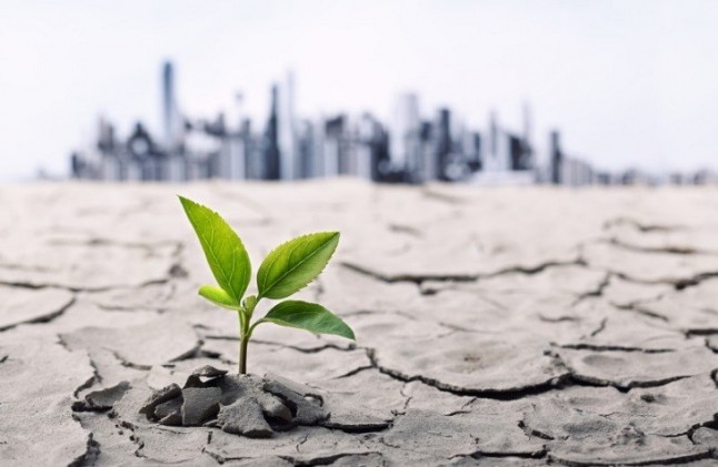 Las empresas andaluzas se movilizan para hacer frente a los efectos inmediatos del cambio climático