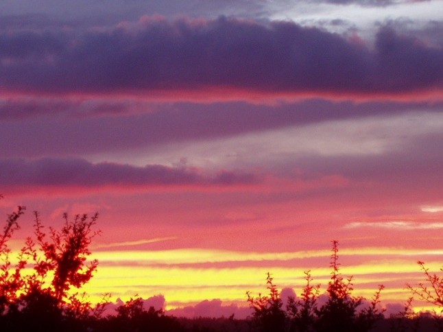 Recuperando la capa de ozono