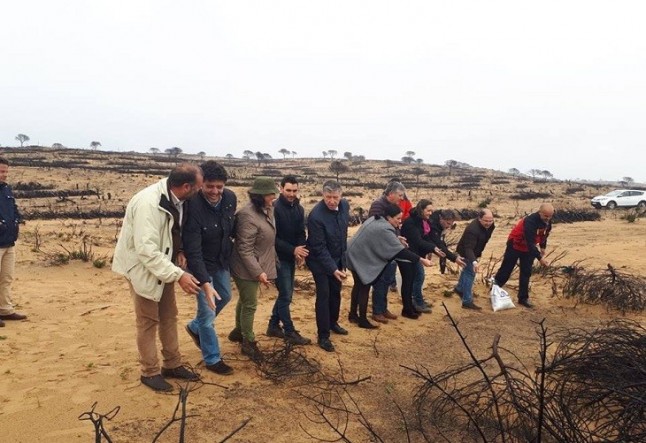 Regalan 160 kilos de semillas para la recuperación de la zona incendiada de Doñana
