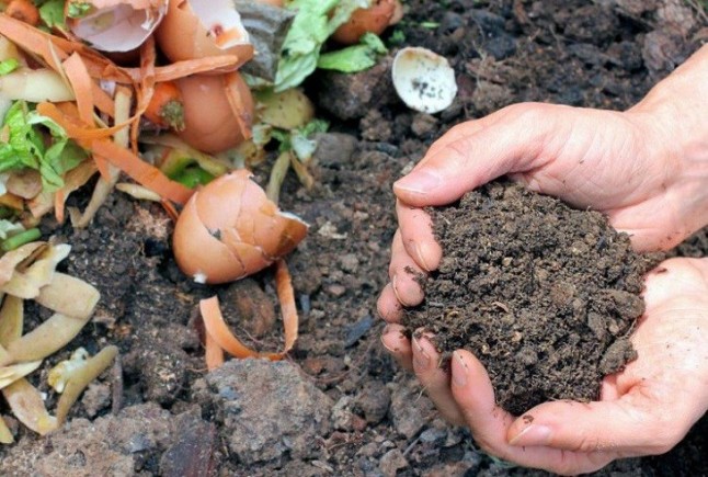 Aragón. Proyecto Cero residuos para promover el compostaje