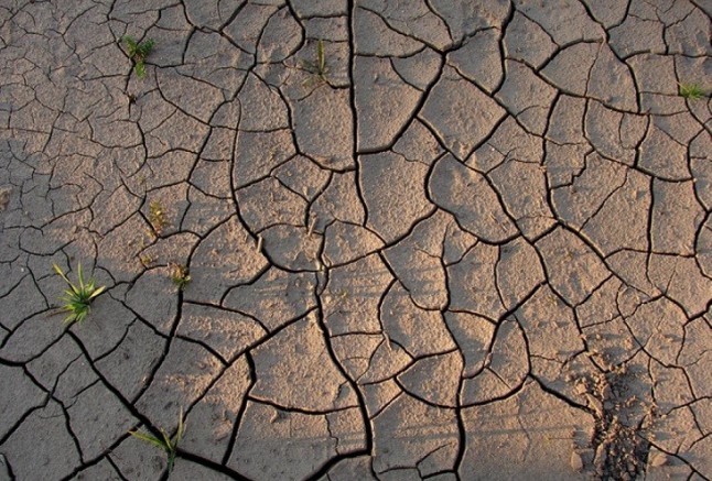 Baleares destina fondos para luchar contra el cambio climático