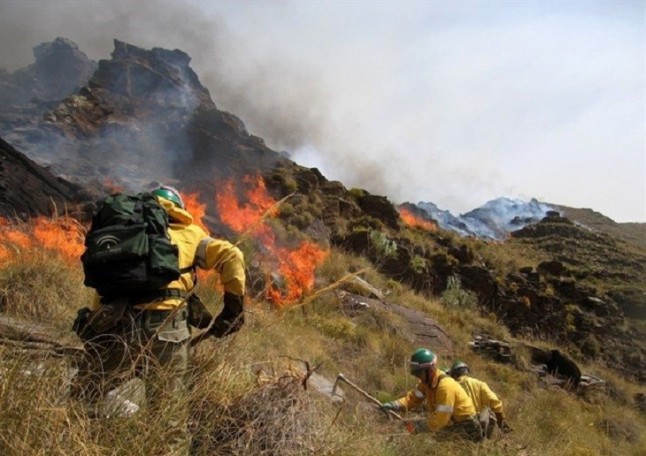 Trabajos preventivos contra incendios forestales en El Gastor (Cádiz)