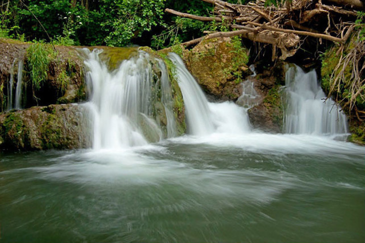 Polémica a cuenta del ‘Parque Natural Sierra Norte’ (Sevilla)
