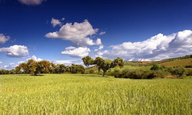 La enorme importancia de conservar la dehesa por su valores medioambientales