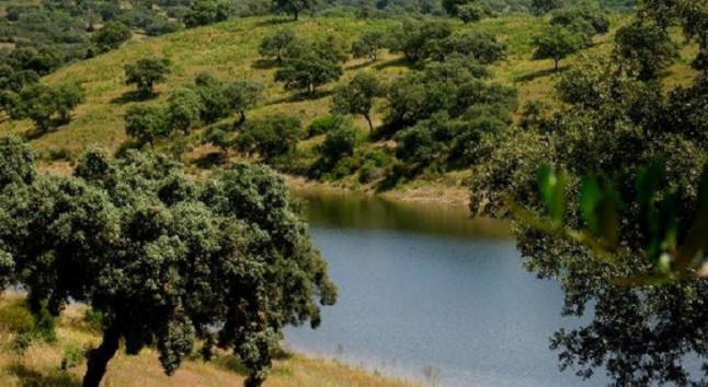 El Atentado Ecológico cometido en una finca del Parque de Hornachuelos al Parlamento Andaluz