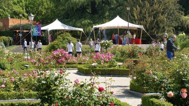 Francia se lleva ocho de los 10 premios del 62° Concurso Rosas Nuevas Villa de Madrid