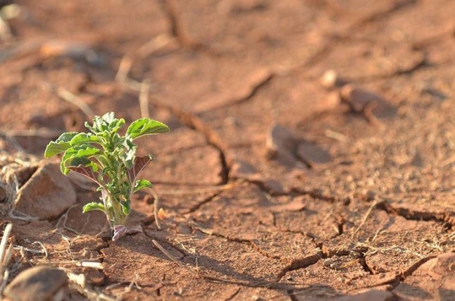 El Congreso no tramitará la ley de cambio climático del PP